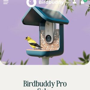Birdbuddy- Pro Solar Smart Bird Feeder
